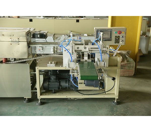 BN-D01全自动棉签包装机